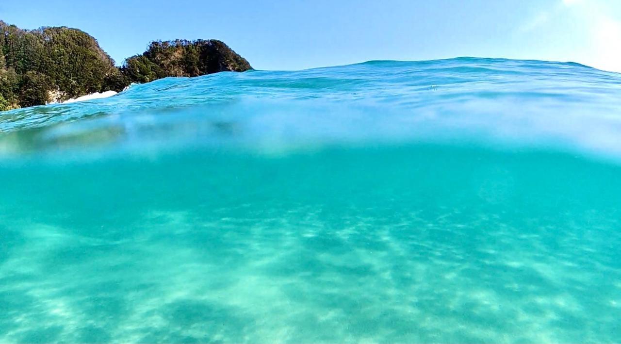 Guesthouse All You Need - All Rooms Have An Ocean View! Shimoda  Eksteriør billede